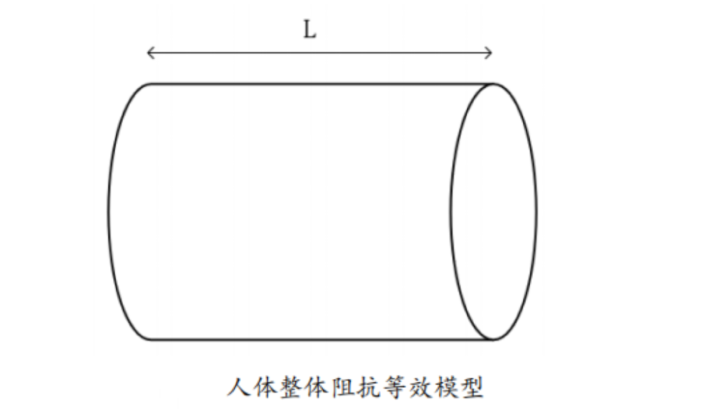 脂的?数据准确吗?一起来了解CQ9电子体脂秤是怎么测出体(图4) 脂的?数据准确吗?一起来了解CQ9电子体脂秤是怎么测出体(图4)